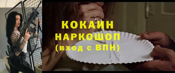 твердый Алзамай