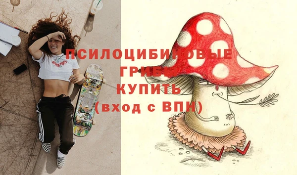 твердый Алзамай