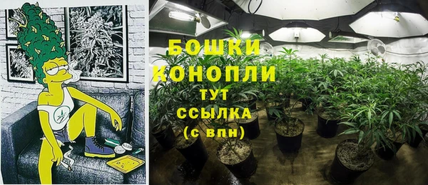 твердый Алзамай