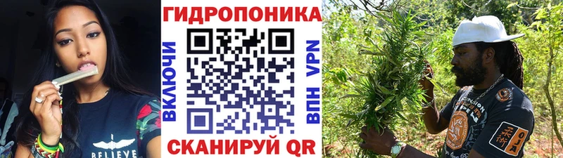 Конопля сатива  OMG сайт  Макушино 